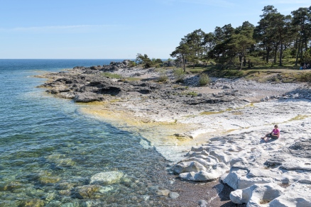 Gotland Coast